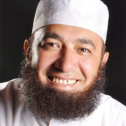 محمود المصري