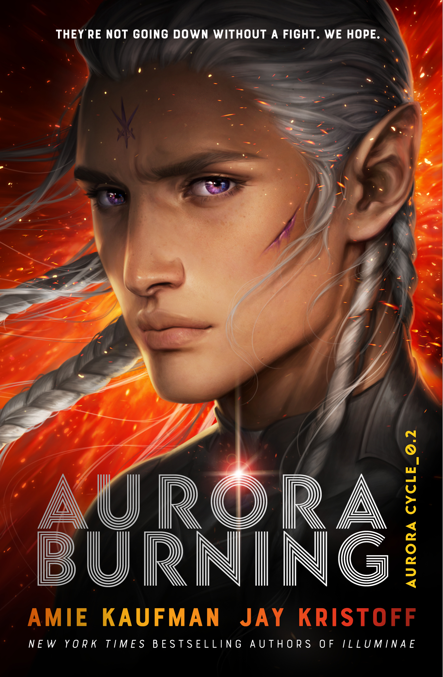Aurora Burning (The Aurora Cycle #2)