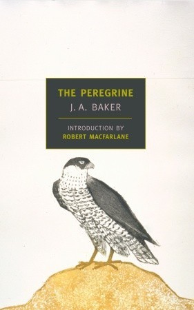تحميل The Peregrine by J.A. Baker PDF
