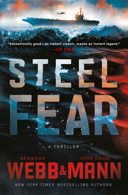 Steel Fear (Finn Thrillers #1)