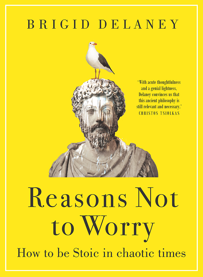Reasons Not to Worry by Brigid Delaney