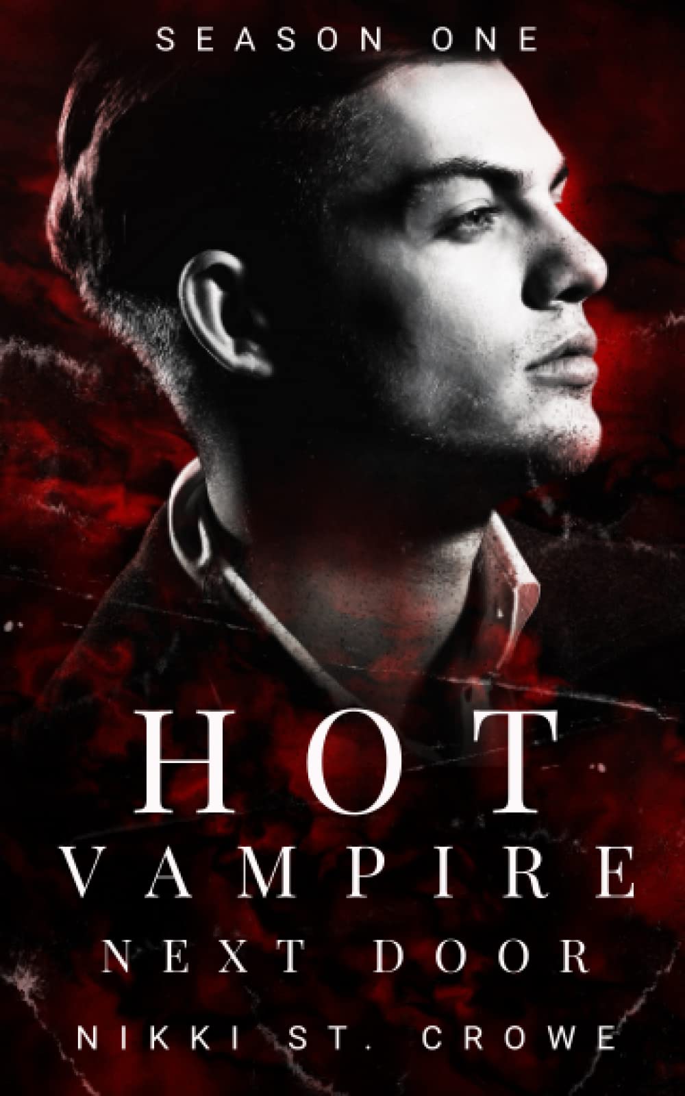 Hot Vampire Next Door: Season One (Midnight Harbor #1)