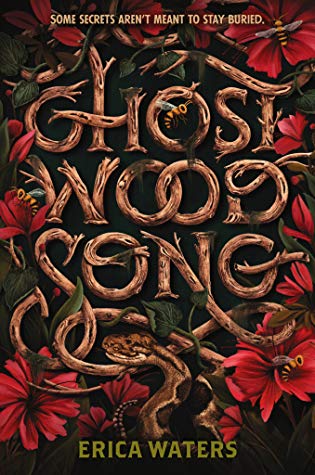 تحميل Ghost Wood Song by Erica Waters PDF