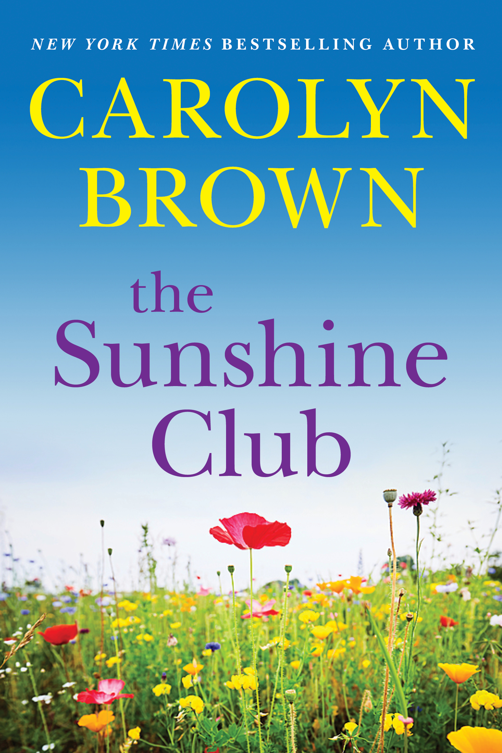 تحميل The Sunshine Club PDF