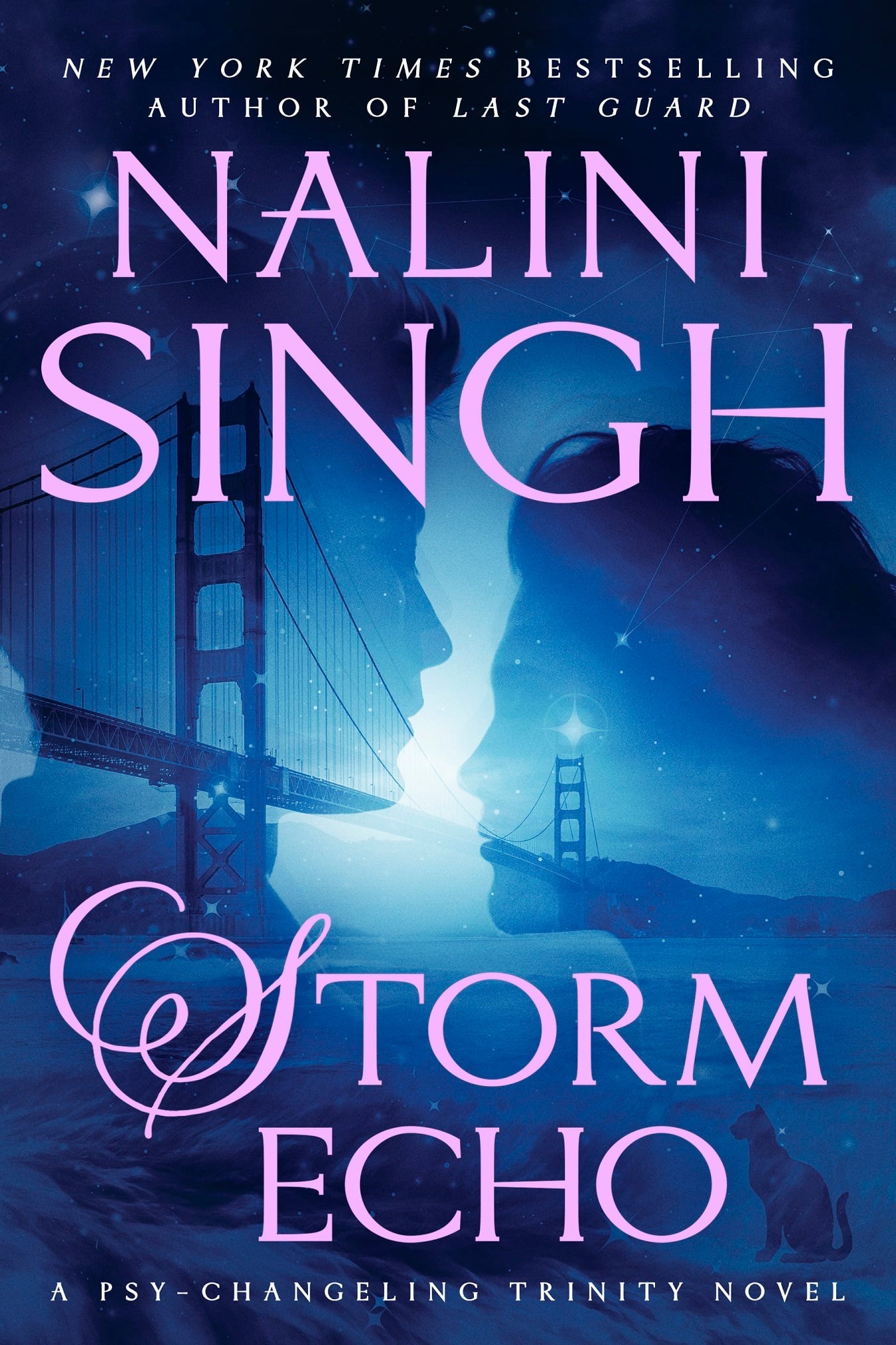 تحميل Storm Echo (Psy-Changeling Trinity #6) PDF